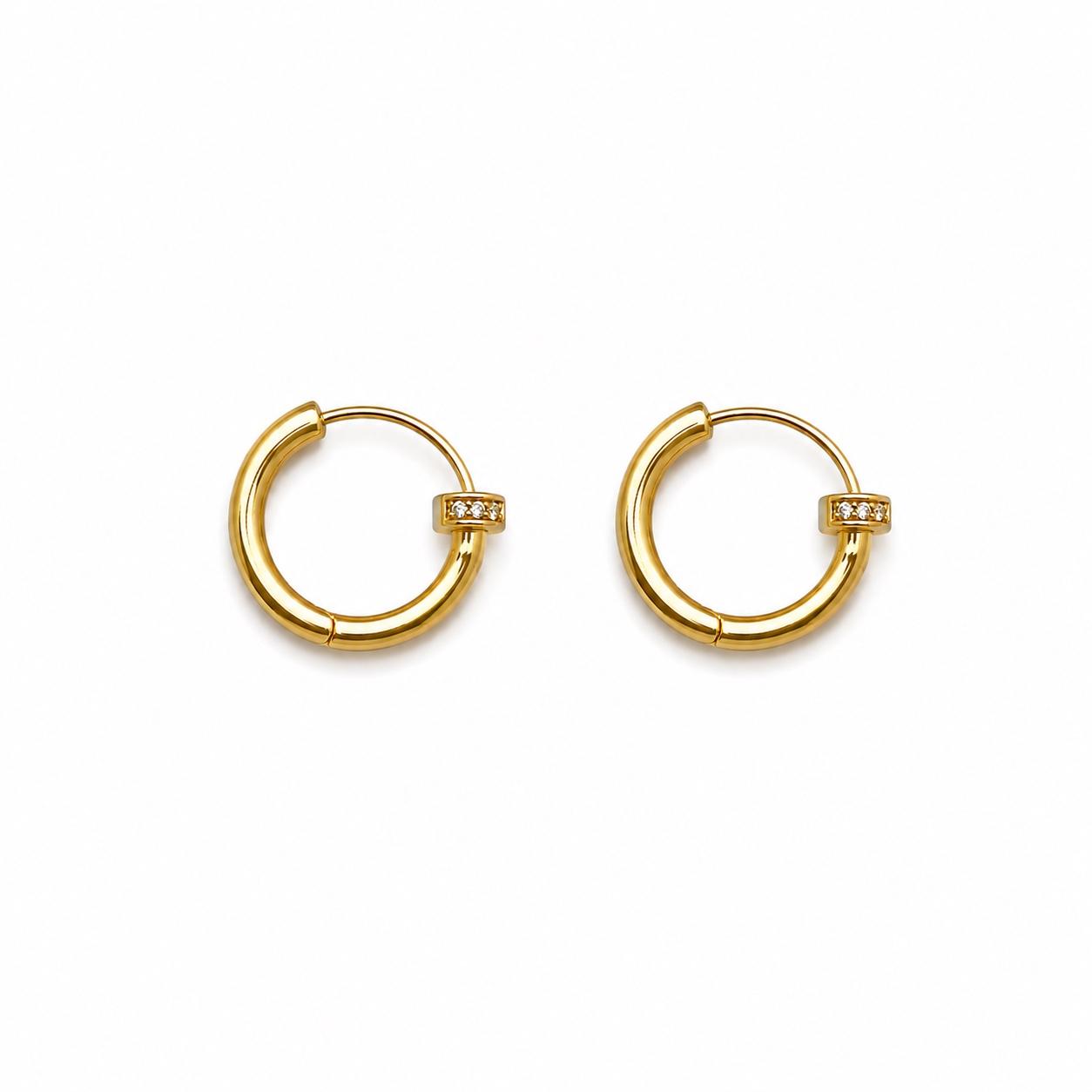 Aurora Loop Earrings